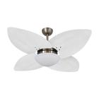 Ventilador de Teto Dormamu Bronze 4 Pás Palmae Branco 127V - CasaH