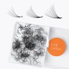 Ventiladores de extensão de cílios Eyesy Lash 500 Promade 10