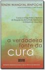 Verdadeira Fonte da Cura, A - DEVIR                                             