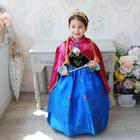 Vestido Fantasia Infantil Temático Princesa Ana Frozen