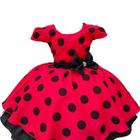 Vestido ladybug joaninha Minnie Festa aniversario bola preta jm0077