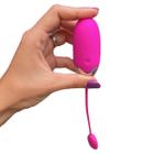 Vibrador Feminino Capsula Bullet Controle App Recarregavel - Portal do Prazer