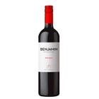 Vinho Argentino Malbec BENJAMIN NIETO 750ml