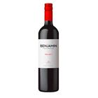 Vinho Benjamin Nieto Malbec 750ml