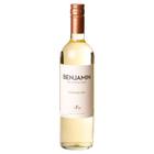 Vinho Benjamin Nieto Torrontés 750Ml