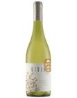 Vinho Branco Kidia Chardonnay 750ml - WINEBOSS Loja de Vinhos