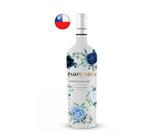 Vinho Branco Suave Paso de los Andes Moskato 750 ml