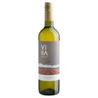 Vinho Branco Villa Del Nevado White Blend 2023 750ml - Fecovita