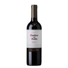 Vinho Casillero Del Diablo Malbec