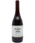 Vinho Casillero Del Diablo Pinot Noir 750Ml