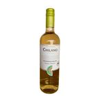 Vinho Chilano Sauvignon Blanc 750ml - Vinícola Viña Ventisquero