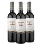 Vinho Chileno Casillero Del Diablo Malbec 750Ml - 7804320510187