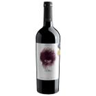 Vinho Fino Tinto El Goru The Mad Hair Fella 2020 750ml - Ego Bodegas