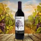 Vinho Jacaranda Tannat Seco 750ml - Vinicola Ferracini