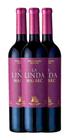 Vinho La Linda Malbec 750 Ml Kit Com 03 Unidades - Argentino