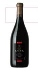 Vinho Luca Syrah