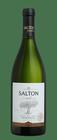 Vinho Salton Paradoxo Riesling 750ml