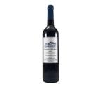 Vinho Tinto Bons Ventos 750 ml