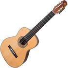 Violão Eletroacústico Rozini 7 Cordas Nylon Rx207 Atf-p