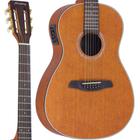 Violão Strinberg SY25 MGS New Yorker Natural Fosco Aço