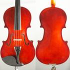 Violino Paganini PHV100 Estudante Red 4/4 - Musical Paganini