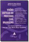 Visões Críticas do Processo Civil Brasileiro