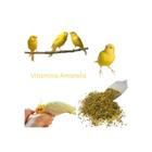 Vitamina Amarela Para Canários - 10Kg E Outros Pássaros Vitamina Nutrientes