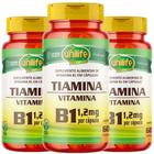 Vitamina B1 Tiamina Vegana 60 cápsulas de 500mg Kit com 3