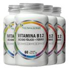 Vitamina B12 Ácido Fólico E Ferro 4x60 Cápsulas Flora Nativa