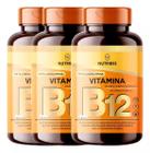 Vitamina B12 Metilcobalamina 500mg 180 Cápsulas Alto Teor de Vitamina B12