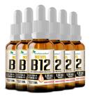 Vitamina B12 Metilcobalamina Em Gotas 6 X 20ml Flora Nativa