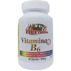 Vitamina B6 500mg 60 Cápsulas Rei Terra