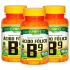 Vitamina B9 Ácido Fólico 60 Cápsulas De 500Mg Kit Com 3 - Unilife