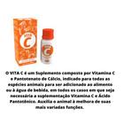 Vitamina C 20 ML para pet