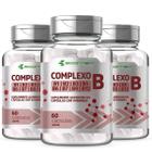 Vitaminas do Complexo B Forma Ativa Puro Concentrado 500mg 180Cáps Ecomev