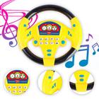 Volante Para Bebês Com Sons Musical Pedagógico - Zoop Toys