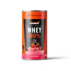 Whey 100% newmillen lata 450g morango