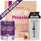 Whey Protein UP SANAVITA 3W Isolado Concentrado Hidrolisado + Creatina Monohidratada 100g + Coqueteleira - Kit Suplemento de Proteína