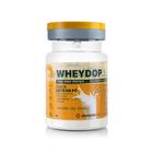 WheyDop-X (900g) - Sabor: Leite em Pó