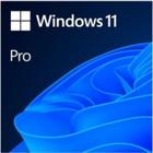 Windows 11 Pro Microsoft 64Bit COEM/DVD FQC-10520