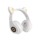 Wireless Cat Ear VZV-B39