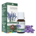 WNF ÓLEO ESSENCIAL ORGÂNICO LAVANDA FRANCESA 10ml