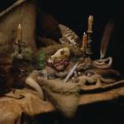 Wolves in the Throne Room Primordial Arcana CD