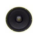 Woofer 10" Eros E-510 Pro 500W Rms 8 Ohms Médio Grave