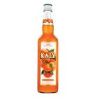 Xarope de Suco Tangerina Kaly 700ml