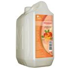 Yamá Shampoo Pêssego 4,6L