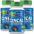 Zincal Cálcio, Magnésio, Zinco 60 cápsulas Kit com 3 - Unilife