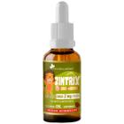 Zinco Em Gotas Infantil Zintrix 20ml Flora Nativa