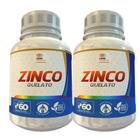 Zinco Quelato 500Mg 60 Cápsulas Kit Com 2 Potes