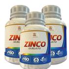 Zinco Quelato 500Mg 60 Cápsulas Kit Com 3 Potes - Lider Suplementos